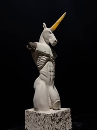 Image 1 of FERTILE RUIN 