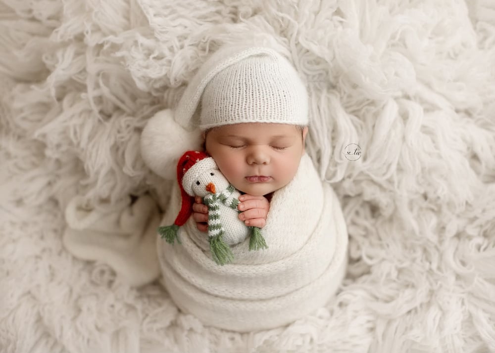 Image of Christmas Snowman Lovie