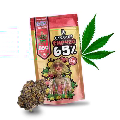 THP420 Cvijeće GSC 65% Strong Sativa 1g
