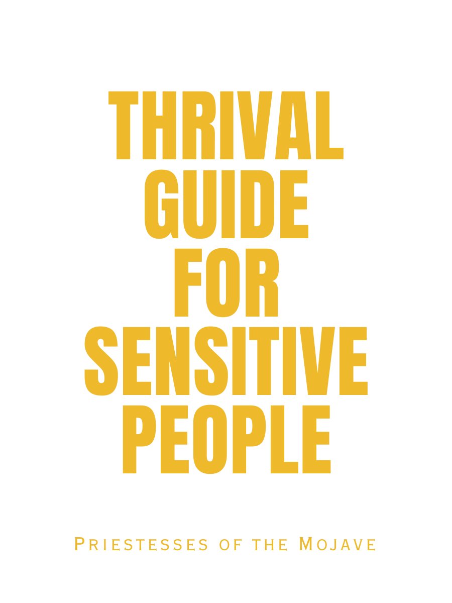 Image of Thrival Guide for Sensitive People Book