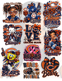 Bears Heat Transfer 