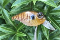 Image 8 of  Custom Airbrushed Crankbait 653