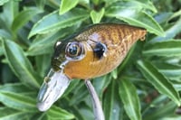 Image 9 of  Custom Airbrushed Crankbait 653