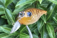 Image 10 of  Custom Airbrushed Crankbait 653