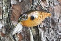 Image 13 of  Custom Airbrushed Crankbait 653