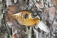 Image 14 of  Custom Airbrushed Crankbait 653