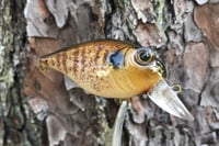 Image 15 of  Custom Airbrushed Crankbait 653