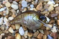 Image 3 of  Custom Airbrushed S-CRANK 1.5 Squarebill Crankbait 887