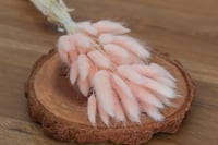 Image 1 of Bunnys Tail - Pink