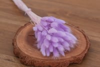 Bunnys Tail - Purple