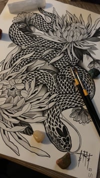 Chrysanthemum/ snake
