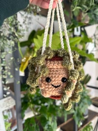 Image 1 of Pre- Order Perlie : String of Pearls 