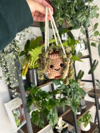 Image 2 of Pre- Order Perlie : String of Pearls 