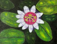 Amanda Weaver Artwork 2