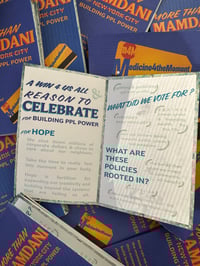 Image 3 of More Than Mamdani Zine