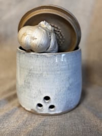 Image 1 of Knoblauch Aufbewahrung