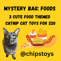 Mystery bag - catnip cat toys FOOD THEMED