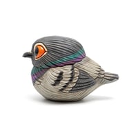 Image 1 of Chubby Bird: Pigeon