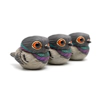 Image 8 of Chubby Bird: Pigeon