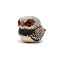 Image 2 of Chubby Bird: Diamond Firetail Finch