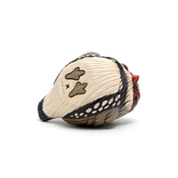 Image 6 of Chubby Bird: Diamond Firetail Finch