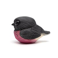 Image 1 of Chubby Bird: Pink Robin