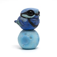Image 4 of Chubby Bird: Splendid Fairy Wren (w/moon base)