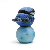 Image 5 of Chubby Bird: Splendid Fairy Wren (w/moon base)