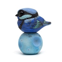 Image 1 of Chubby Bird: Splendid Fairy Wren (w/moon base)