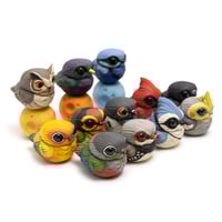 Image 11 of Chubby Bird: Pigeon