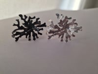 Image 3 of Colección CORAL