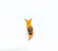 Image 1 of Orange & Yellow Small Snail #2
