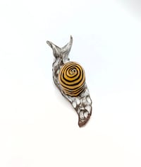 Image 2 of Birch & Yellow Medium Snail