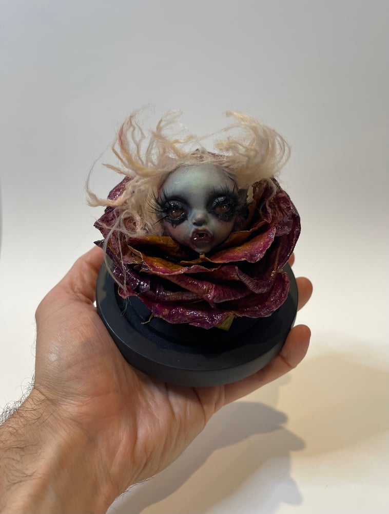 Image of Lulu Petal, flower of Velorium 