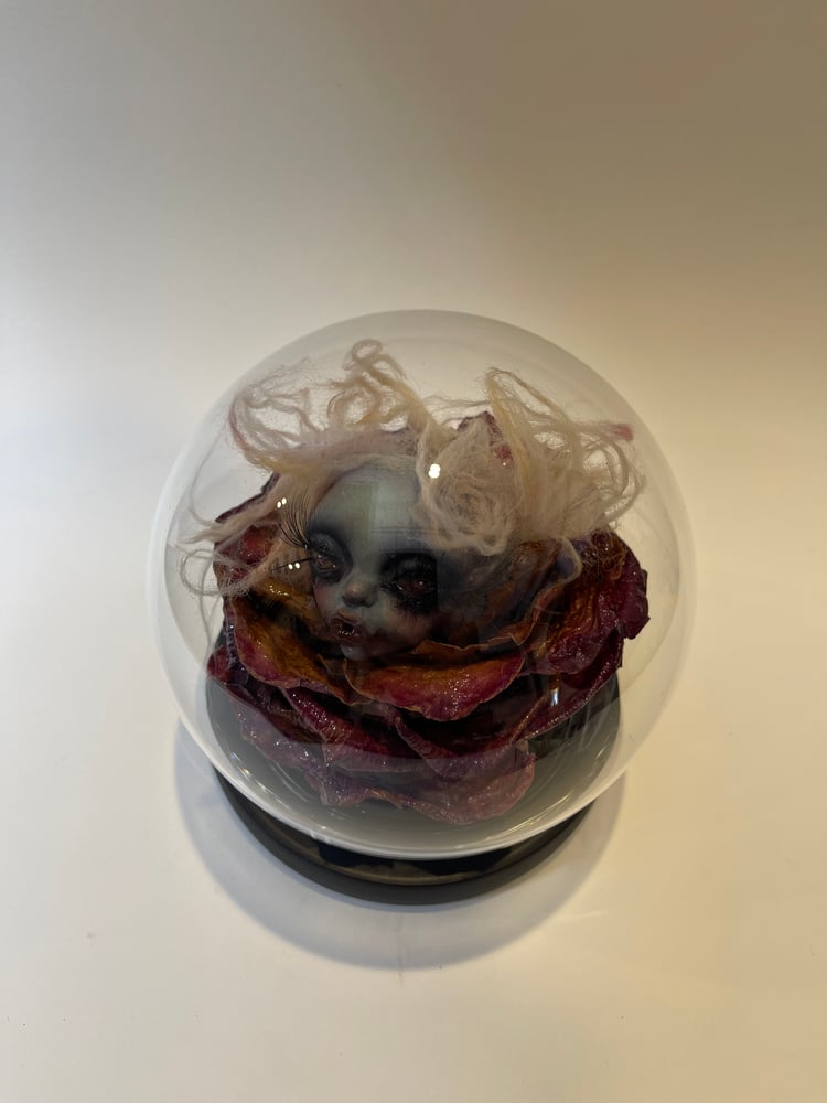 Image of Lulu Petal, flower of Velorium 