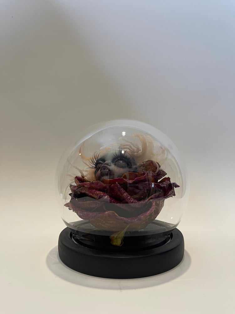 Image of Lulu Petal, flower of Velorium 