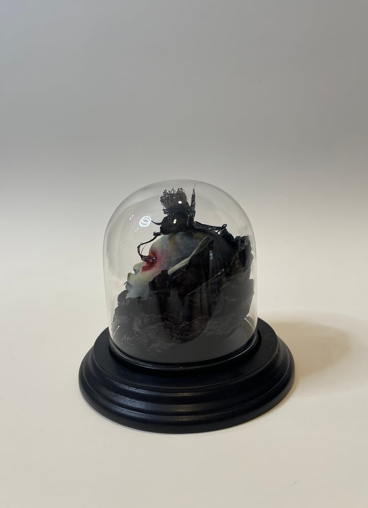 Image of RESERVED. (Please no not buy)Dravenna Black Petal, Flower of Velorium 