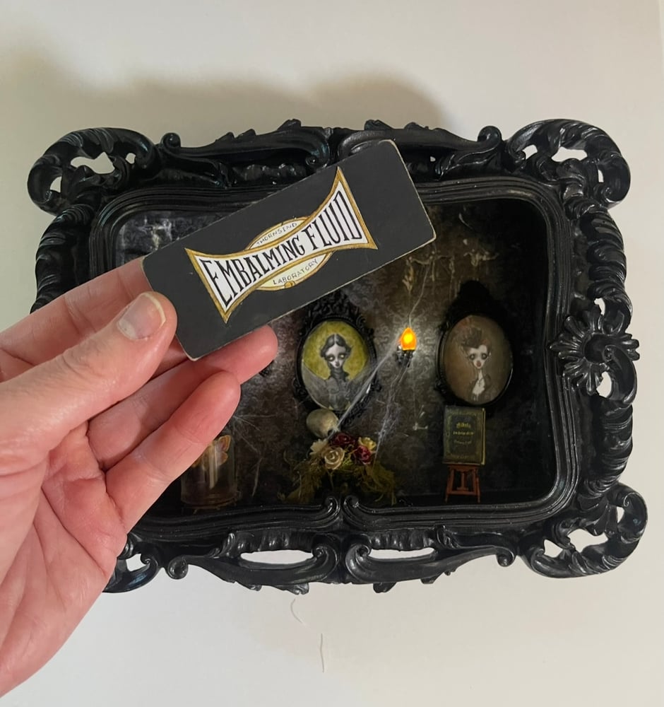 Image of Thornsend Vampires/ portraits edition, mini print shadow box 