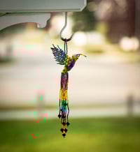 Image 5 of Jalisco Hummingbird 