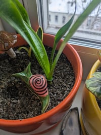 Image 4 of Orange & Yellow Small Snail #2