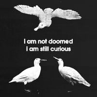 Image 2 of i am not doomed 