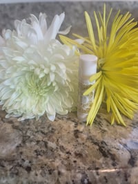 Image 1 of Lipgloss Set Stick (Chap-Stick)