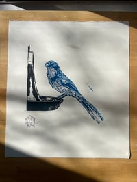 Image 1 of Scrub Jay Linocut Artists Proof