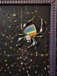 Image 2 of Pride Collection