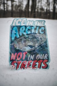 Image 1 of Cracked Ice greenland shark sticker