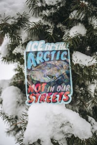 Image 4 of Cracked Ice greenland shark sticker