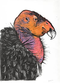 Image 1 of California Condor Linocut Print 9"x12"