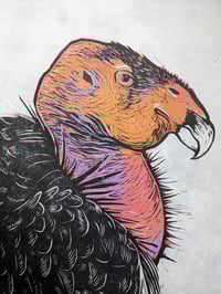 Image 5 of California Condor Linocut Print 9"x12"