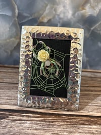 Image 1 of Cream Rose Mini