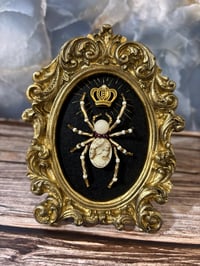 Image 1 of Crowned Mini